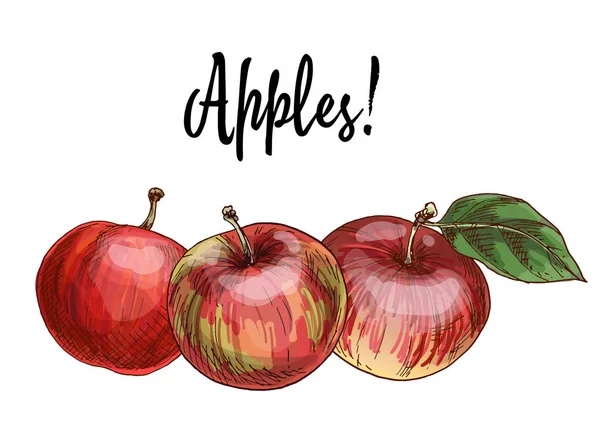 Tres Deliciosas Manzanas Rojas Aisladas Sobre Fondo Blanco Otoño Colección — Foto de Stock