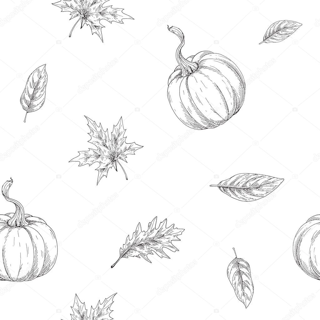 Seamless autumn theme pattern. Pumpkins and leaves in the contour. Autumn harvest collection illustration