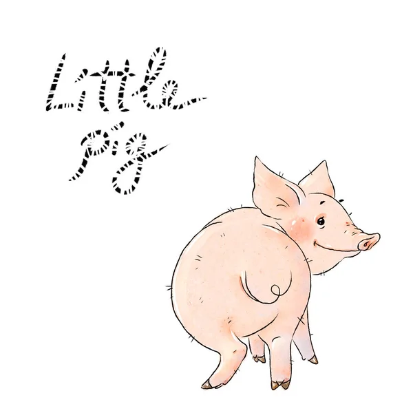 Hand Drawn Naughty Pig Cute Funny Piglet Isolated White Background — Stock Photo, Image