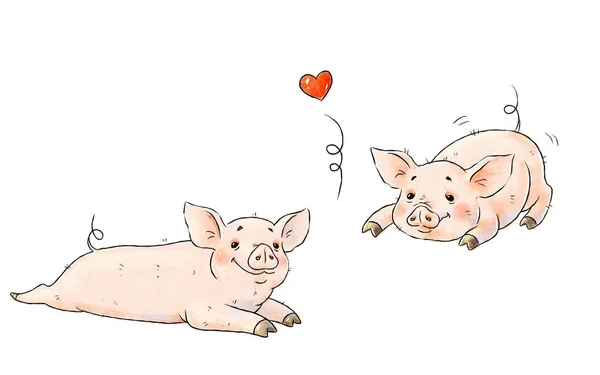 Cerdos Traviesos Dibujados Mano Dos Lindos Lechones Divertidos Aislados Sobre —  Fotos de Stock