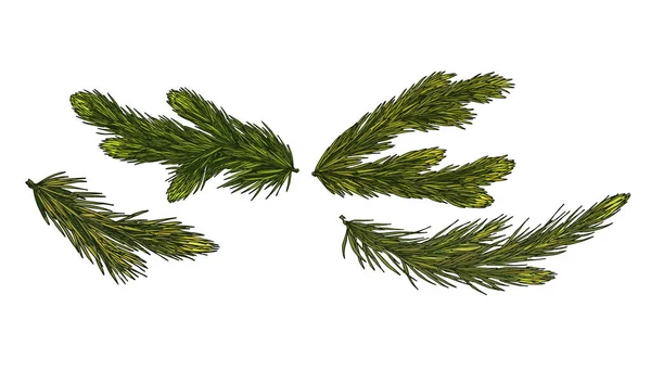 Naaldboom Groene Takken Geïsoleerd Witte Achtergrond Vector Klaar Kerst Feestelijke — Stockvector