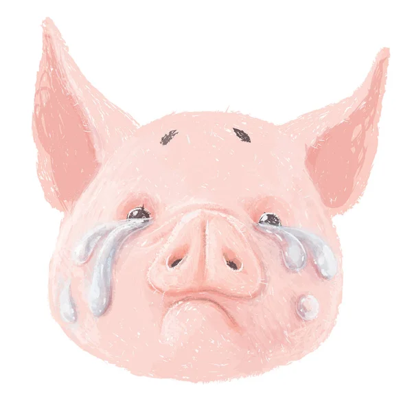 Adorable Personnage Porc Pleure Mignon Petit Porcelet Visage Isolé Sur — Image vectorielle