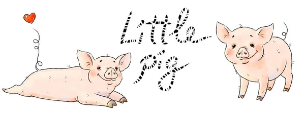 Hand Drawn Naughty Pigs Two Cute Funny Piglets Isolated White — Stock Photo, Image