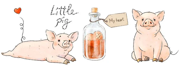 两只手绘猪 可爱的有趣的小猪和爱的药水隔离在白色的背景 浪漫收藏插图 — 图库照片