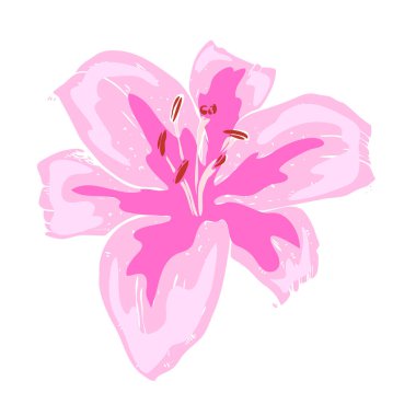 Güzel pembe lily çiçek. Büyük lily beyaz arka plan üzerinde izole Illustration. Elle çizilmiş vektör. Doğa Çiçek koleksiyonu