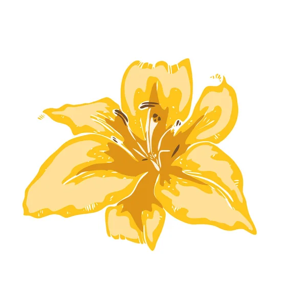 Прекрасна Жовта Квітка Лілії Ілюстрація Великої Лілії Ізольована Білому Тлі — стоковий вектор