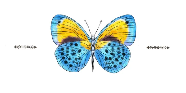 Красива Рука Намальована Реалістичним Синьо Жовтим Метеликом Ізольована Білому Тлі — стокове фото