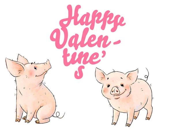 Dos Cerdos Traviesos Dibujados Mano Lindo Lechón Divertido Aislado Sobre —  Fotos de Stock
