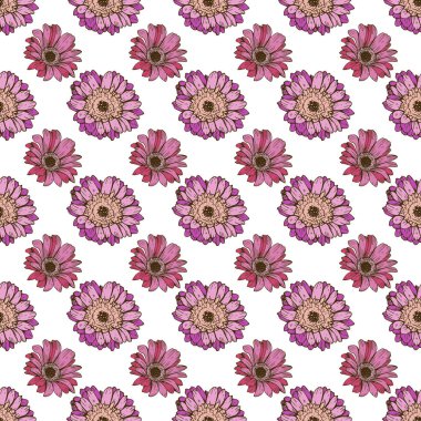 Sorunsuz çiçek desenli. Beyaz bir şirin papatya çiçekler. Vektör arka plan güzel el çekilmiş