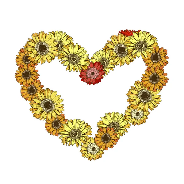 Beyaz arka plan üzerinde izole papatya çiçekler kalbinde. Romantik çiçek koleksiyonu. Mutlu sevgililer günü tasarımı için vektör çizim