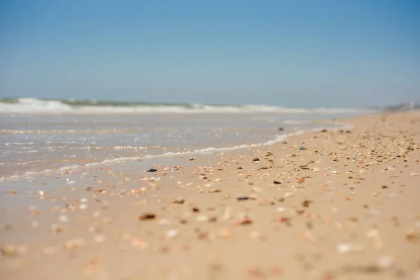 Sfondo spiaggia fuoco selettivo, sabbia, conchiglie e cielo blu estate — Foto Stock