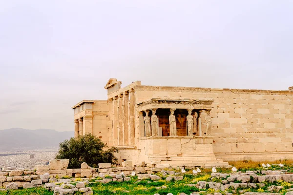 Acropolis Athens Architectural Monument Tourist Attraction Tourism — Stock Photo, Image