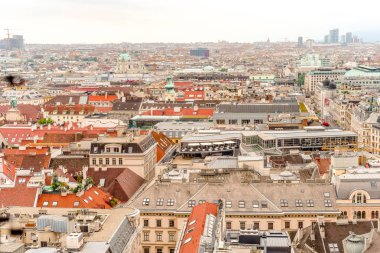 İmparatorluk Sarayı Avusturya Viyana panorama görüş