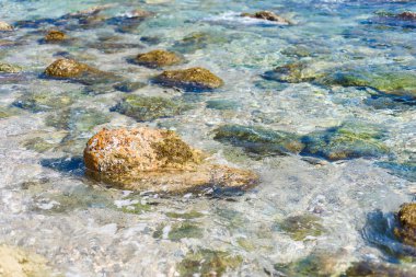 Yaz bahar arka plan. Çiçekler. Doğa arka plan. Yeşil sarı çiçek