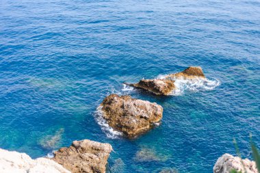 Yaz bahar arka plan. Çiçekler. Doğa arka plan. Yeşil sarı çiçek