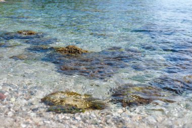 Yaz bahar arka plan. Çiçekler. Doğa arka plan. Yeşil sarı çiçek