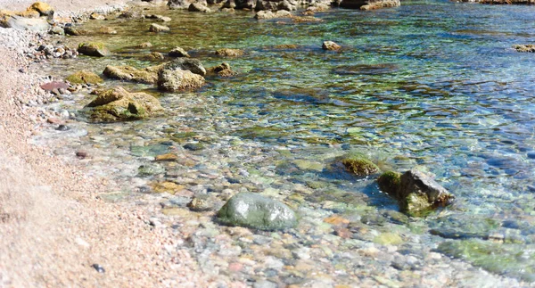 Καλοκαίρι, άνοιξη φόντο. Λουλούδια. Φύση φόντο. Κίτρινα λουλούδια σε πράσινο — Φωτογραφία Αρχείου