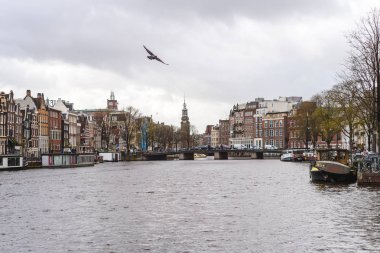 Amsterdam, Hollanda'nın renkli evleri ve mimarisi