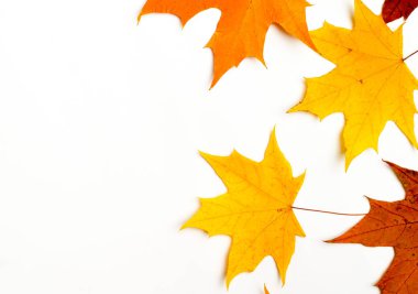 Sonbahar desen kompozisyonu. Sonbahar yapraklarından yapılmış desen. Düz döşeme, üst görünüm, kopyalama alanı