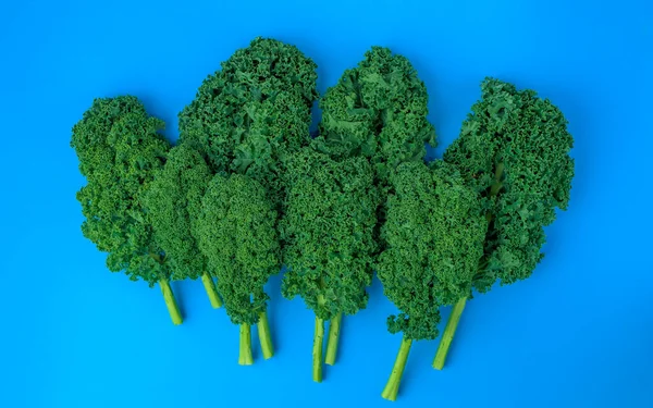 Kale groene bladeren krullende boerenkool, patroon, bovenaanzicht, plat gelegd — Stockfoto