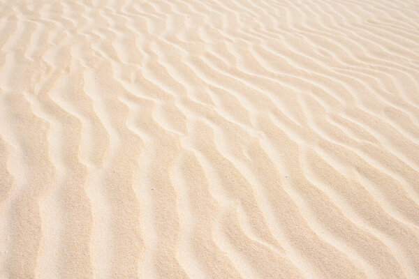 Золотой песок в дюне, на фоне песка в пустыне