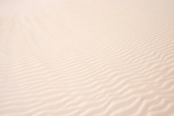 砂丘の黄金の砂砂漠の砂の背景 — ストック写真