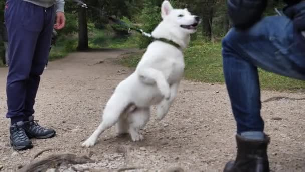Jeune homme jouant avec chien en plein air 