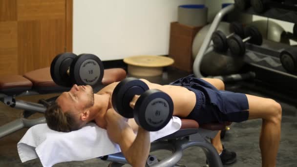Handsome young man exercising biceps in gym — Stock Video