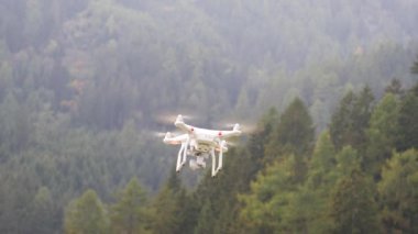 Dağlarda ağaçlarda yukarıda uçan uçak