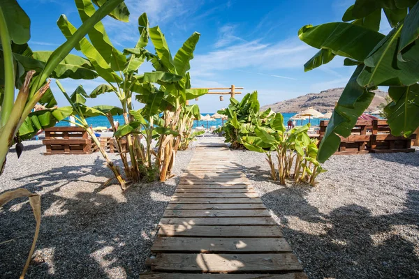 Wooden walk lined with banana trees to Vlycha beach near Lindos village (Rhodes, Greece)