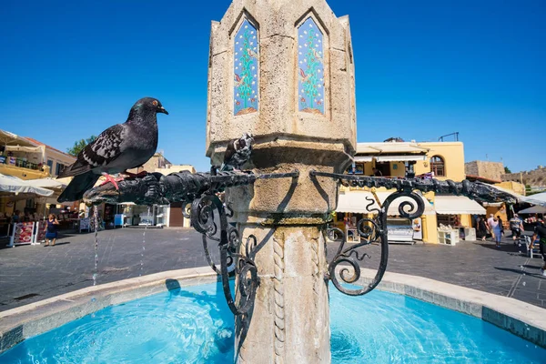 Pigeon Sitting Fountain Hippocrates Square Old Town Rhodes Rhodes Greece — Stock Photo, Image
