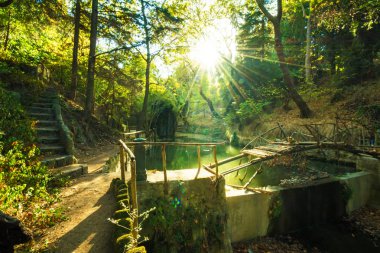 Küçük bir nehir Rodini Park City Rodos (Rhodes, Yunanistan)