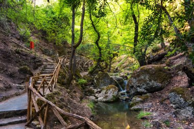 Kelebekler Vadisi (Rhodes, Yunanistan sığla ağaçları arasında yürümek)