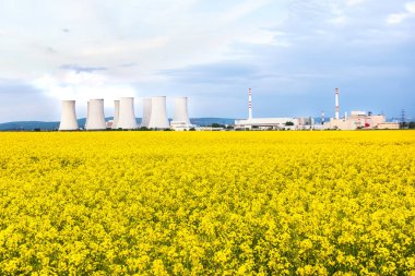 Soğutma kuleleri arkasında Sarı kolza tohumu f ile nükleer enerji santrali