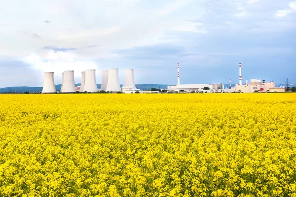 Nuclear power plant with cooling towers behind yellow rapeseed f Stock Image