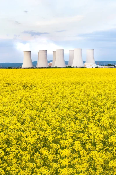 Nuclear power plant with cooling towers behind yellow rapeseed f Stock Image