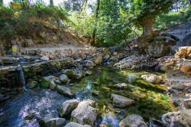 Kolymbia yakınlarındaki ormanda yedi su kaynağı (Epta Piges) (Rodos, Yunanistan))