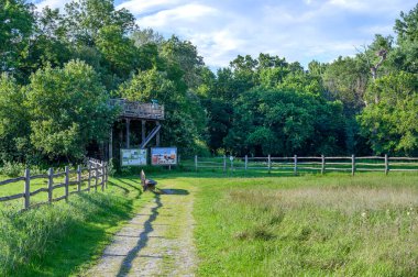 Marchegg Reserve 'deki (Marchegg, AUSTRIA) ağaç üreten beyaz leylek kolonilerini izlemek için tahta gözetleme kulesi.)