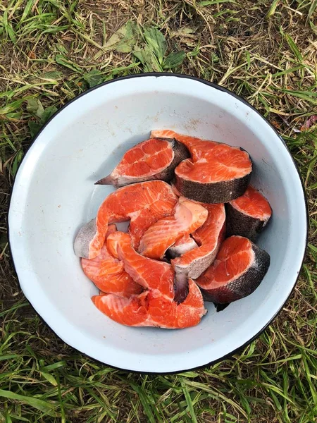 Pescado Salmón Fresco Con Sal Plato Blanco — Foto de Stock