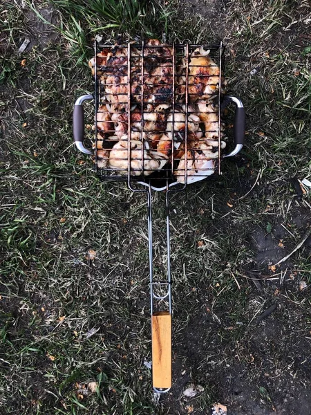 Heerlijke Kip Vleugels Barbecue Picknick Het Bos — Stockfoto