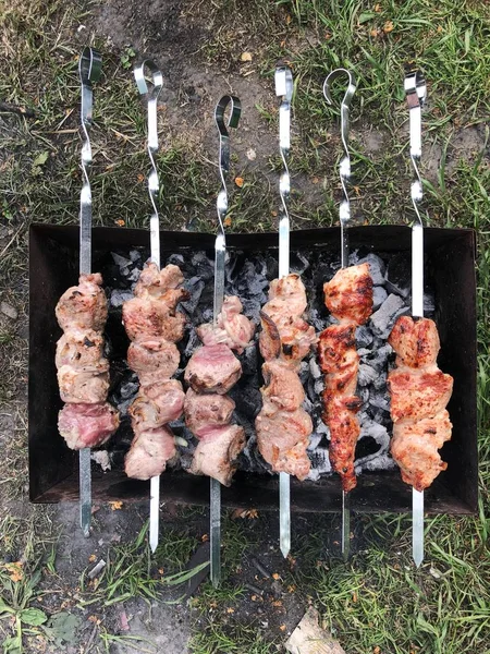 Yaz Aylarında Izgara Barbekü Domuz — Stok fotoğraf