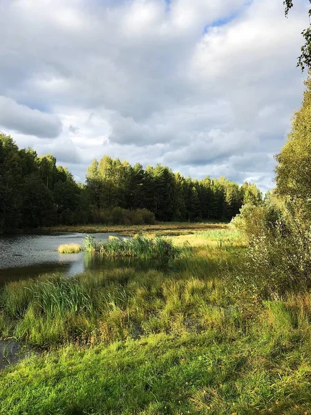 Hermoso Bosque Paisaje Río Vista Otoño — Foto de Stock