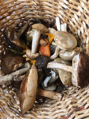 Sonbahar ahşap sepeti görünümünde mantar 