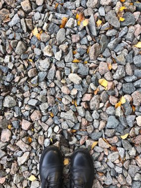 Ormanın içinde taşlar üzerinde siyah deri ayakkabı 