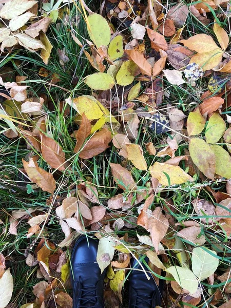 Czarne Skórzane Buty Dla Widoku Liści Jesienią — Zdjęcie stockowe