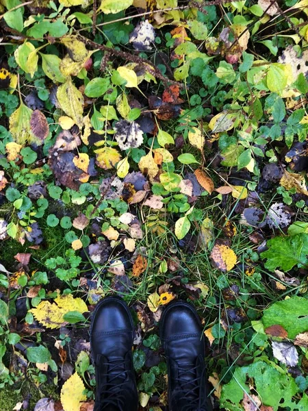 Schwarze Lederstiefel Für Herbst Laub Ansicht — Stockfoto