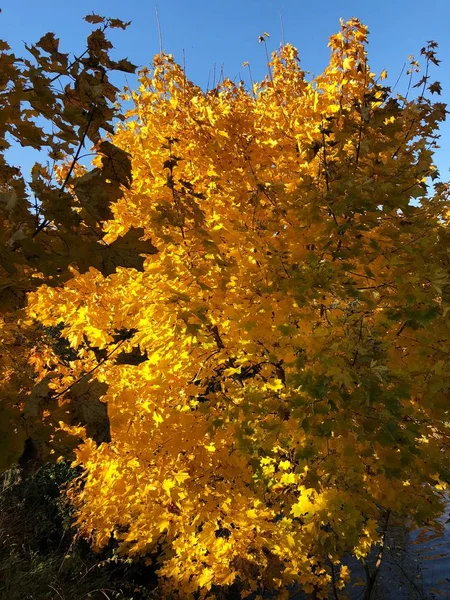 Осенний Пейзаж Виде Деревни — стоковое фото