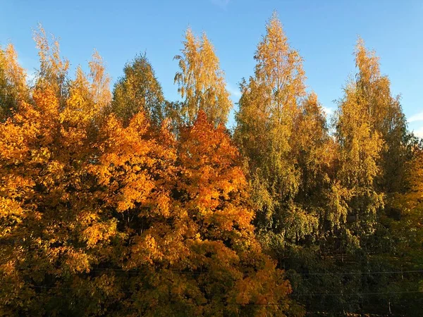 Hermoso Paisaje Otoño Vista Del Pueblo — Foto de Stock