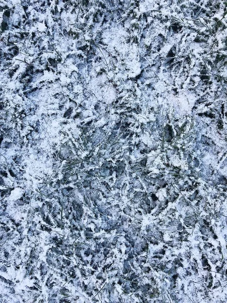 Green Grass Snow Winter View — Stock Photo, Image