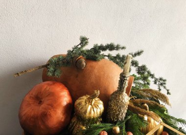 Kabaklar ve Noel ağacı güzel kompozisyon 